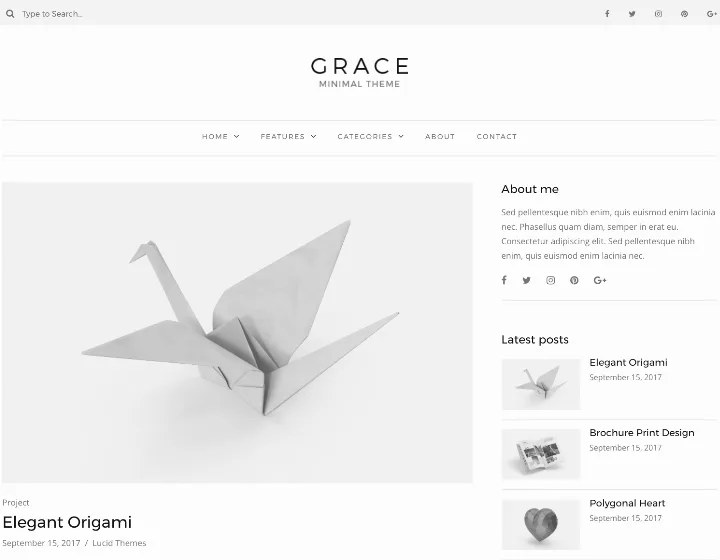 Sitechecker Theme